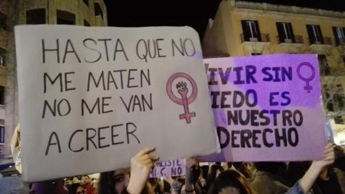 pendejita: “La revolucion será feminista o no será” parte 5 