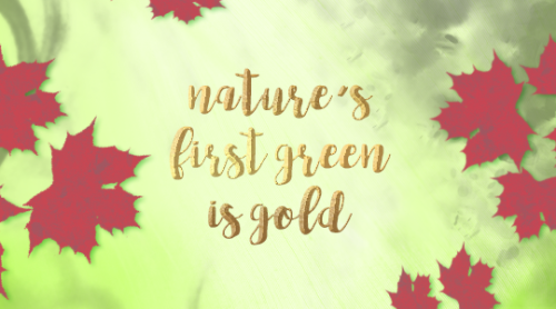 jasperwhitlock: Multifandom Creations Challenge | @jasperwhitlockPrompt: Poison Ivy + Nothing Gold C