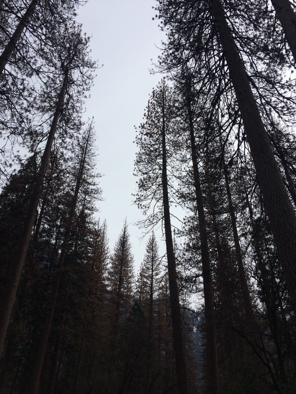 alittlebitoflace:  skies and the sea