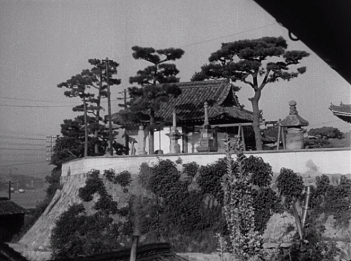 pierppasolini: Tokyo Story (1953) // dir. Yasujirō Ozu 
