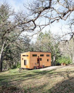 dcroninphoto:  A few shots from a story on the hOMe tiny home outside of Ashland, Oregon.Shot for Fine Homebuilding Magazine