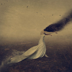 The Shadows We Follow By Brookeshaden 