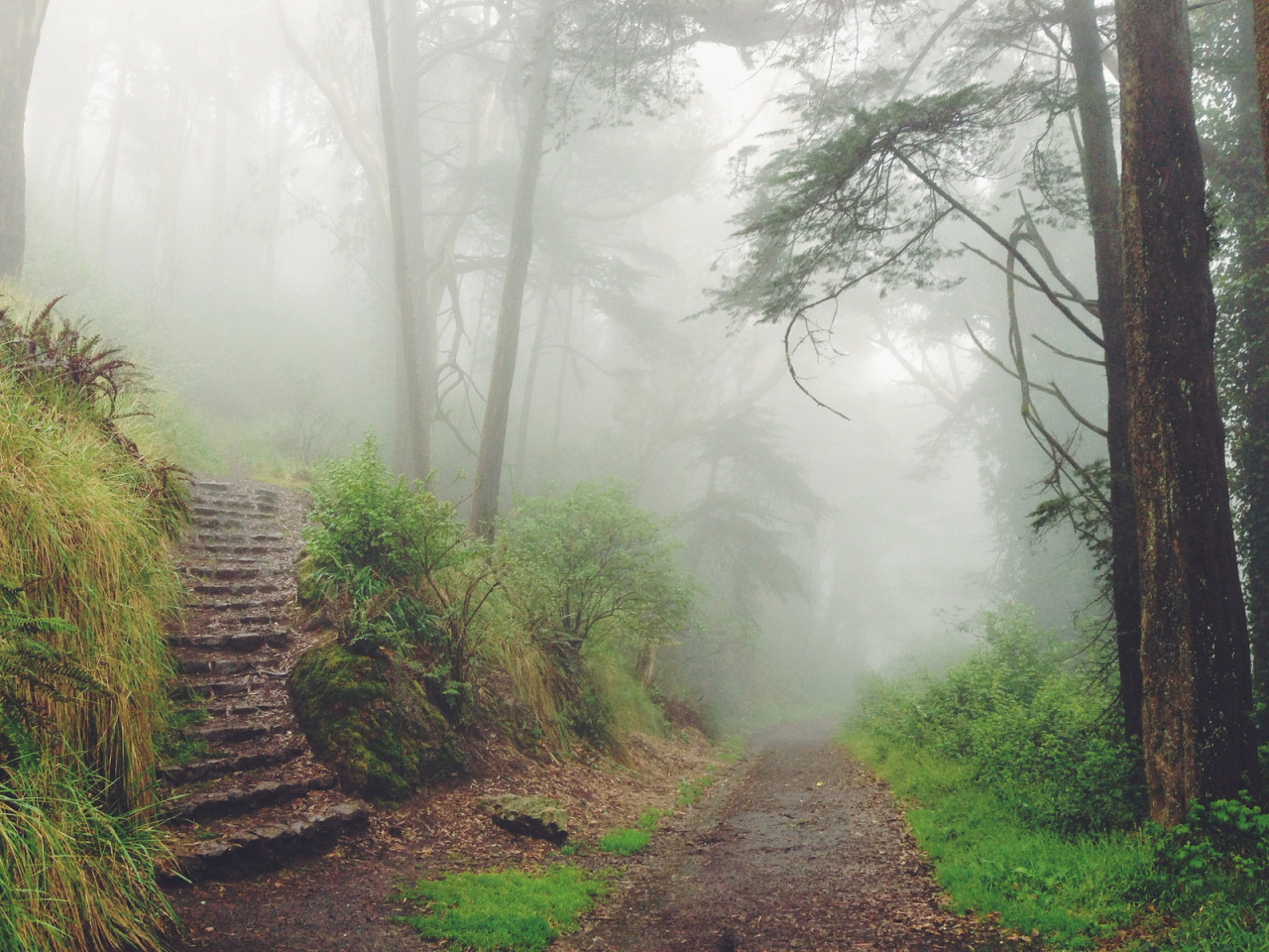 atraversso:  Beautiful Nature  by Kevin Russ  