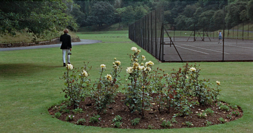  Blow - Up , Michelangelo Antonioni , 1966. 