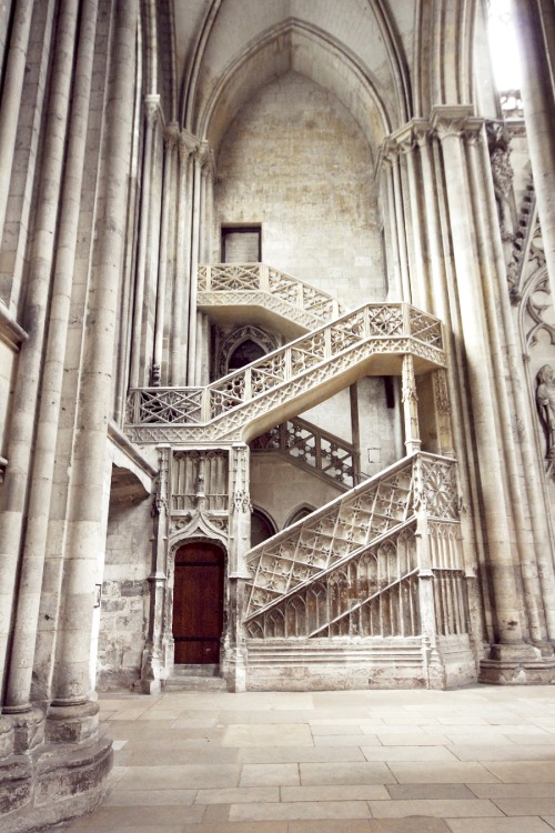 thesilvereye:  As I walked through Rouen Cathedral, I glanced to the side and it hit me—I am very much in the stair fandom. [x] 
