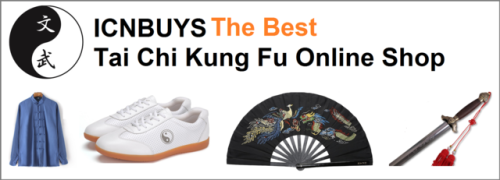 Porn Pics kungfutaichimaster:    5 Wing Chun Training Tools To Increase Punching Power