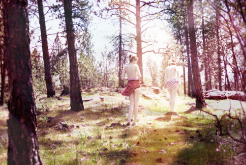 definitelydope:  sundowning (by bee hives) 