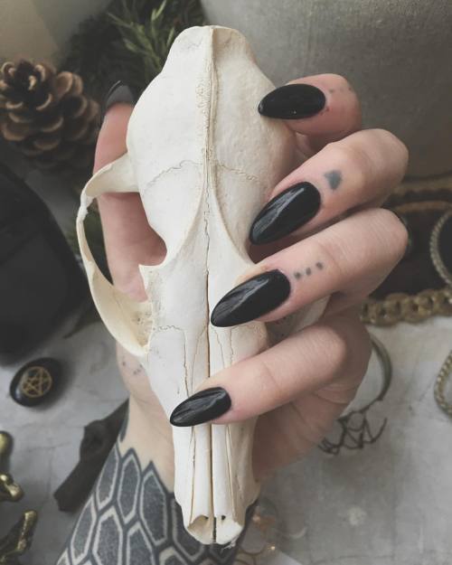 morbidbody: after two years I’ve got my claws back trying to work now