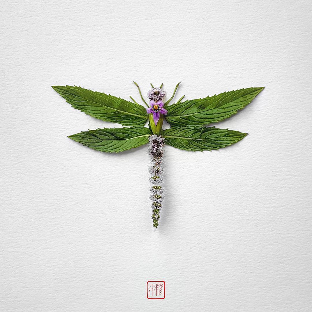 graphigeek: Tales of Treasures Found in Nature Raku Inoue has been experimenting