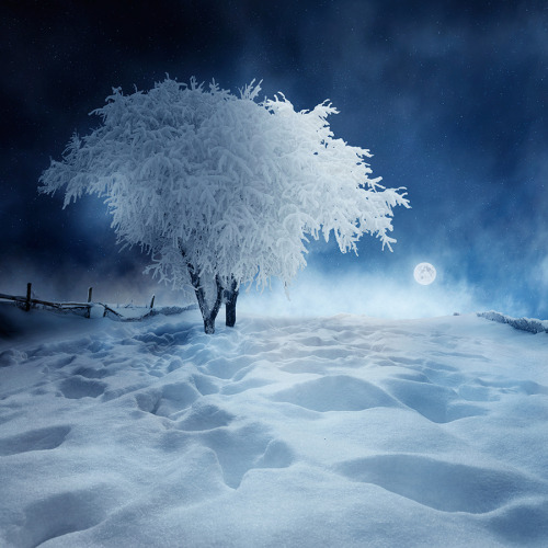 ByCaras Ionut