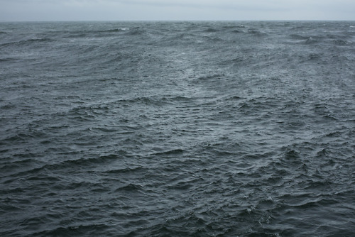 weirdfishesblog:  Wolfgang Tillmans, The adult photos