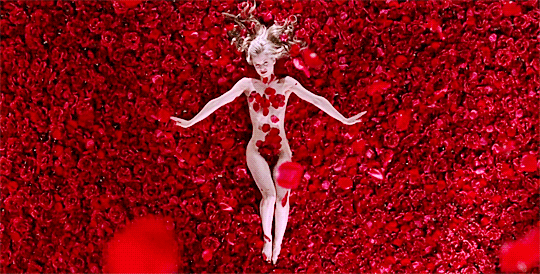 babeimgonnaleaveu:    American Beauty (1999) dir. Sam Mendes    Happy Valentine&rsquo;s