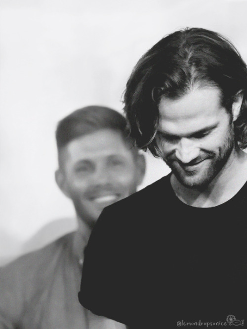 lemondropsonice:N°21 in the Jibcon 2017 edit spam - Saturday Panels: J2 Afternoon