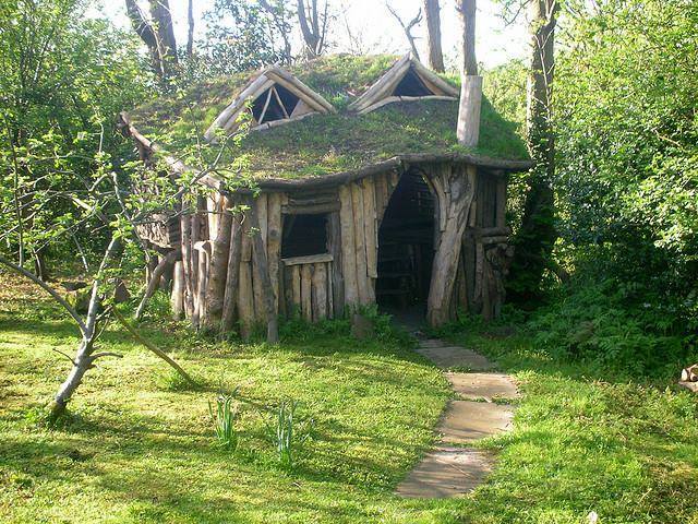 shypetals:  Can I pls live here 