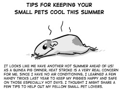 megachikorita:  caughtbubbles:  A little different from the things I usually post, but I thought this might be helpful to some pet owners out there. A few of these tips might seem pretty obvious, but I wanted to cover all the bases for those who might