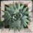 palumbocathy: