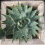 palumbocathy: