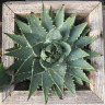 palumbocathy: