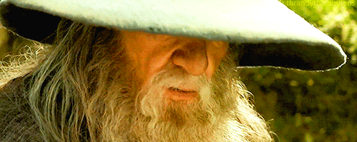 thrandythefabulous:[The Fellowship, first appearances]