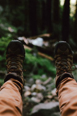 earth-dream:  Portrait of a Sole | Photographer