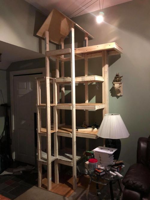 amazingpetenclosures:This man built an amazing set of towers for his cats, and there’s talk of him p