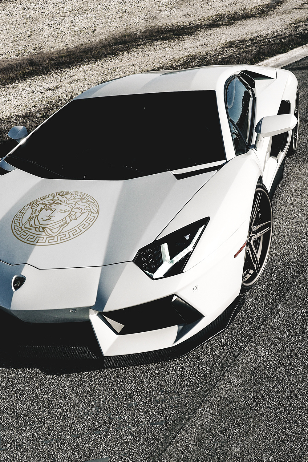 motivationsforlife:Versace ADV.1 Aventador by William Stern // Instagram // Edited
