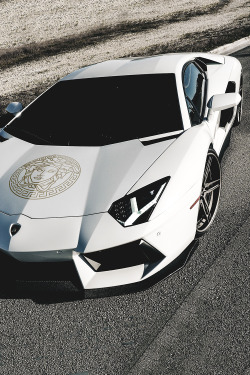 Motivationsforlife:versace Adv.1 Aventador By William Stern // Instagram // Edited