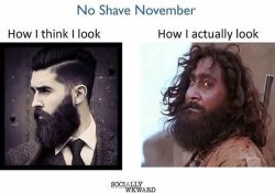 #noshavenovember