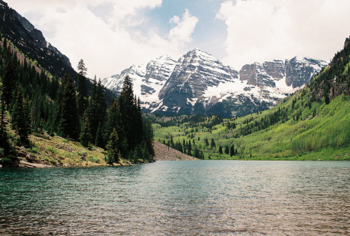 eyeleaves:  Ashley Vaughan