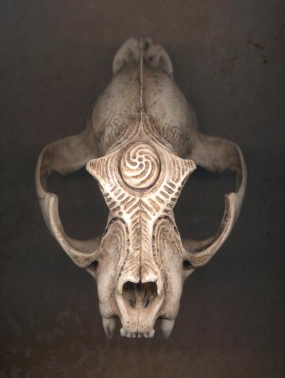 Carved Skulls by Don Simpson