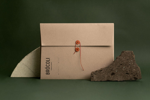 Brócoli: Consulting Firm Branding by Fugitiva See more here.Follow WE AND THE COLOR on:Facebo