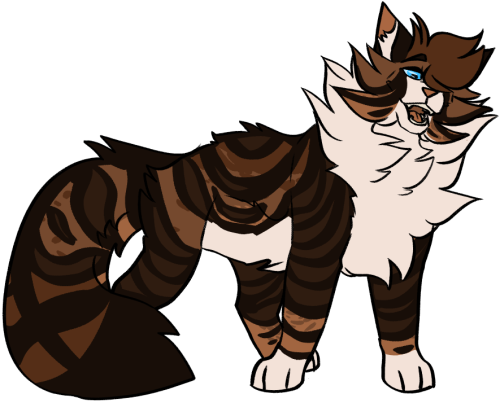 warriorsultimateguide:   “We have great plans for the forest, Tigerstar and I, and you could  have been part of them. But we don’t need you because you are weak and  care more for kin than for power. I don’t.” Hawkfrost!I made a Hawkfrost fankit