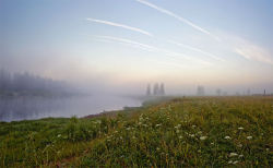 magic-spelldust:  Beautiful Foggy Fields by  Andrey Fedoseev   