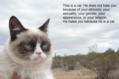 Porn catsaww:  Love and Tolerance. photos