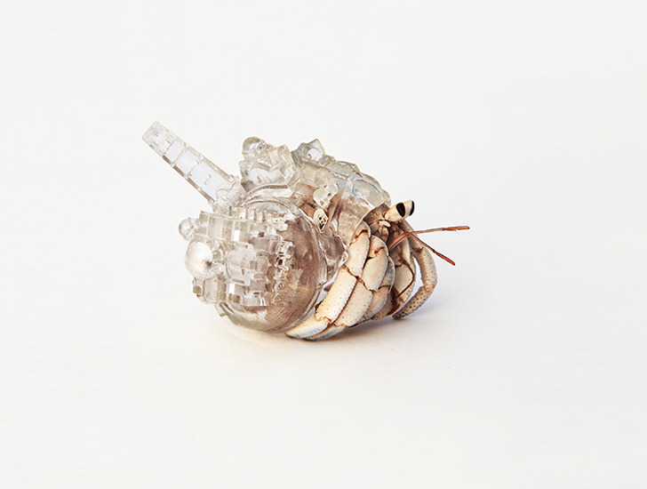 Aki Inomata’s | Crystalline 3D Printed Hermit Crab Shells are Inspired by the