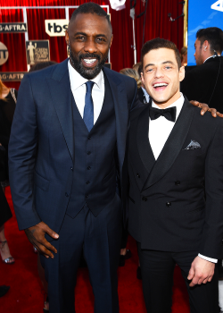 amyadams:    Idris Elba and Rami Malek attend The 22nd Annual Screen Actors Guild Awards at The Shrine Auditorium on January 30, 2016 in Los Angeles, California. 