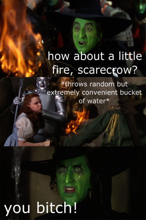 thewintersoldiersbutt:  Happy 75th Anniversary to The Wizard of Oz! To celebrate, I present to you; Movies in a Nutshell: The Wizard of Oz 