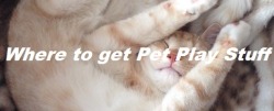 Bdsmpetplay:  Sexeducationaesthetic:  Kitten Play -  Kitten Enchantment - Etsy 