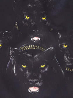 givenchy-king:  Givenchy Jaguars 