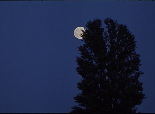 -Voci nel tempo (Franco Piavoli, 1996)-Al primo soffio di vento (Franco Piavoli, 2002)Same place&hel