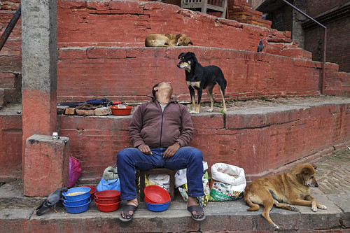 Dogs and Pigeons - Kathmandu, Nepal by Maciej Dakowicz The earthquake day. A man sells grains for pi