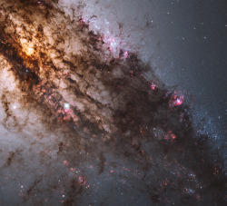 astronomicalwonders:  Active Galaxy Centaurus A image from: HubbleSite.org for more wonders of the universe follow: AstronomicalWonders.tumblr.com 