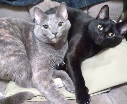 It Looks Like Cleopatra Is Smiling & Egypt Is Giving Face