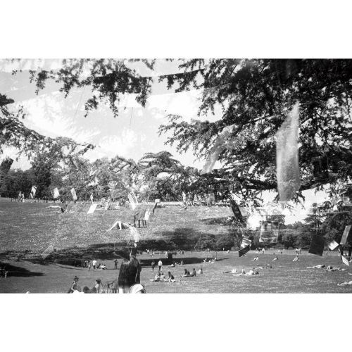 Parc + Art contemporain + Été #bnw #bnwphotography #analogphotography #analog #filmpho