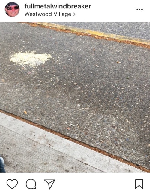 fullmetalwindbreaker: the instagram fitness community loves sidewalk oats