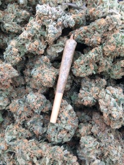 mystonerlife:  Blue Magoo Joint with its