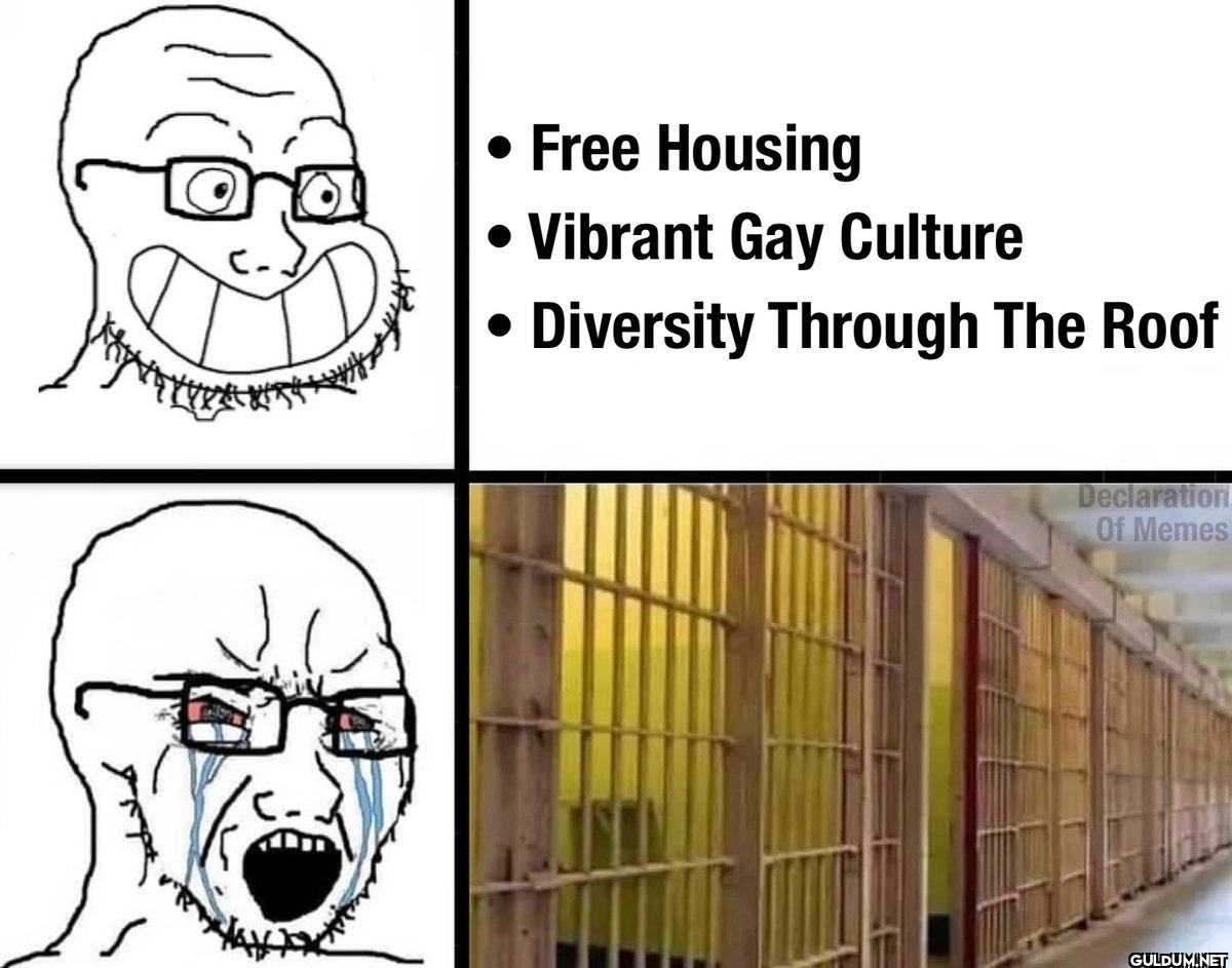 Free Housing Vibrant Gay...