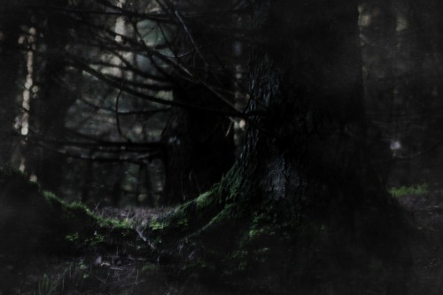 heathenharnow: Bland sorgsna träd och sovande troll XVI© Heathen Harnow -&n