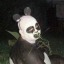 inspiration-went-404
