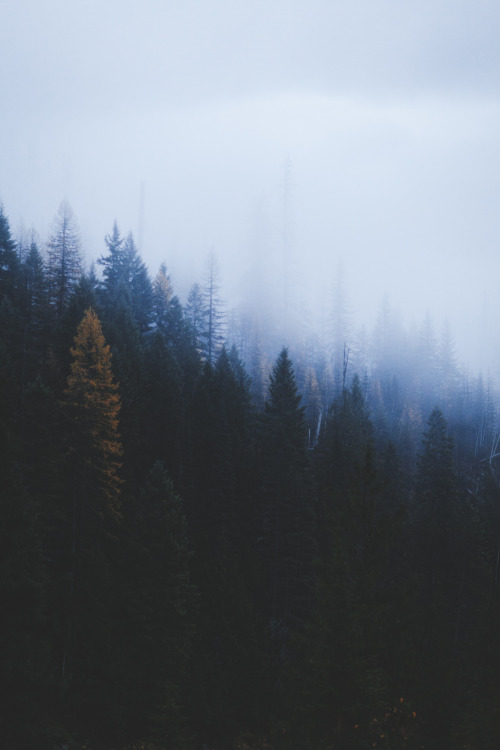 alexstrohl:  On the back roads of Glacier National Park, MontanaWith Andrea 